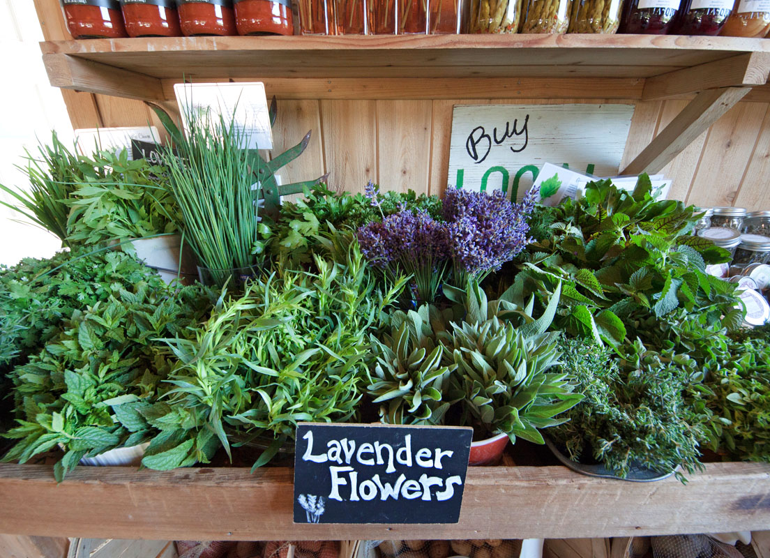 balsam-farms-flowers-herbs-Lavender-Flowers